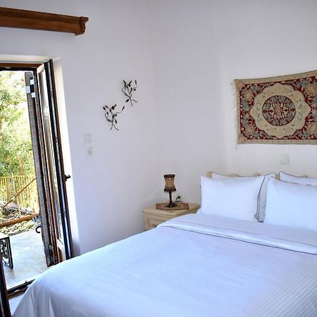 Eufrosini Guesthouse เมทโซโว ภายนอก รูปภาพ
