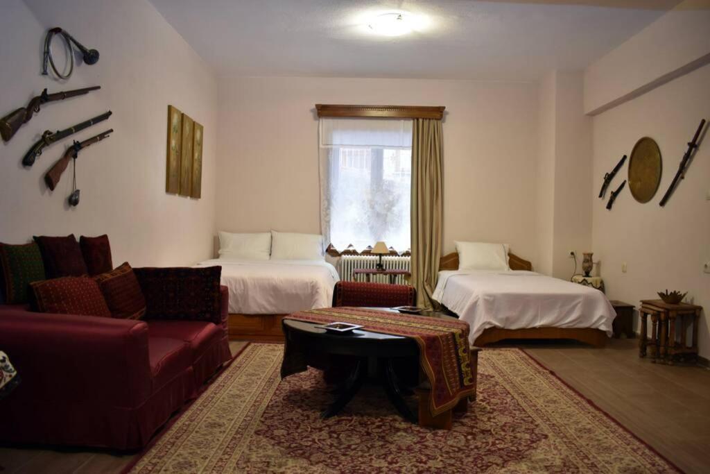Eufrosini Guesthouse เมทโซโว ภายนอก รูปภาพ