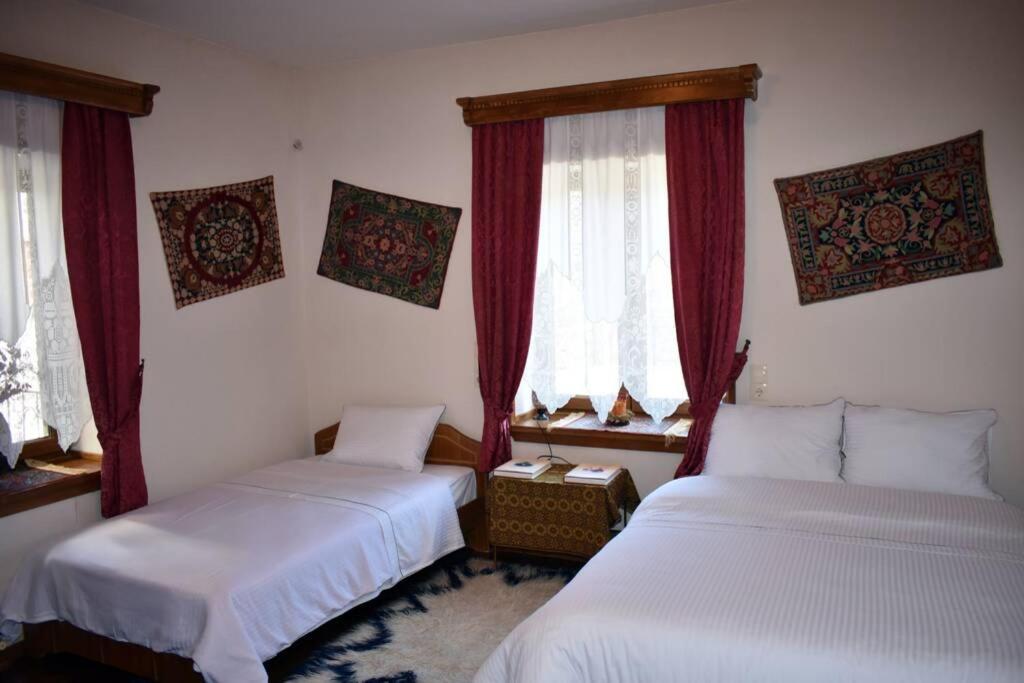 Eufrosini Guesthouse เมทโซโว ภายนอก รูปภาพ