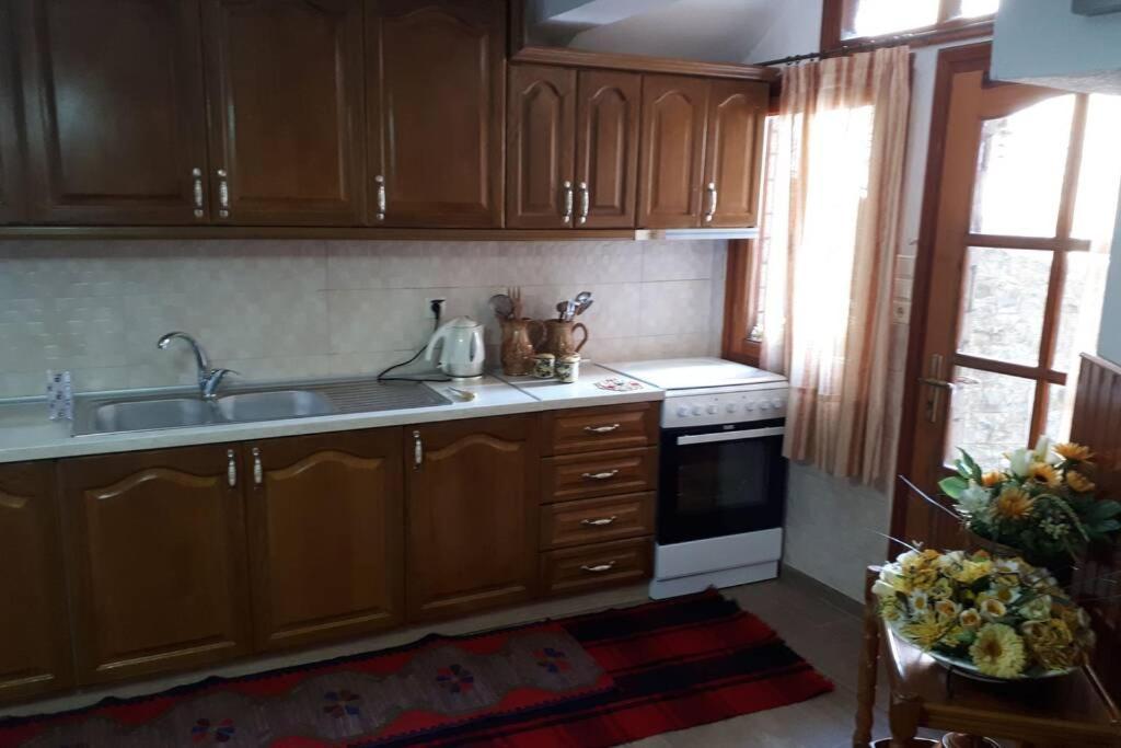 Eufrosini Guesthouse เมทโซโว ภายนอก รูปภาพ