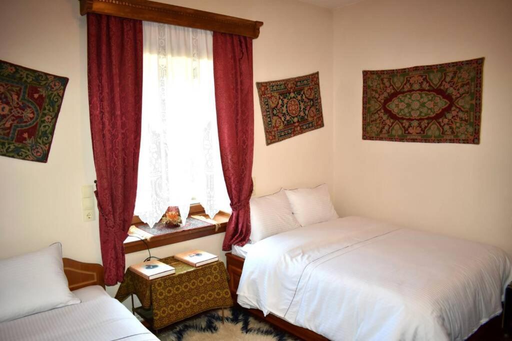 Eufrosini Guesthouse เมทโซโว ภายนอก รูปภาพ
